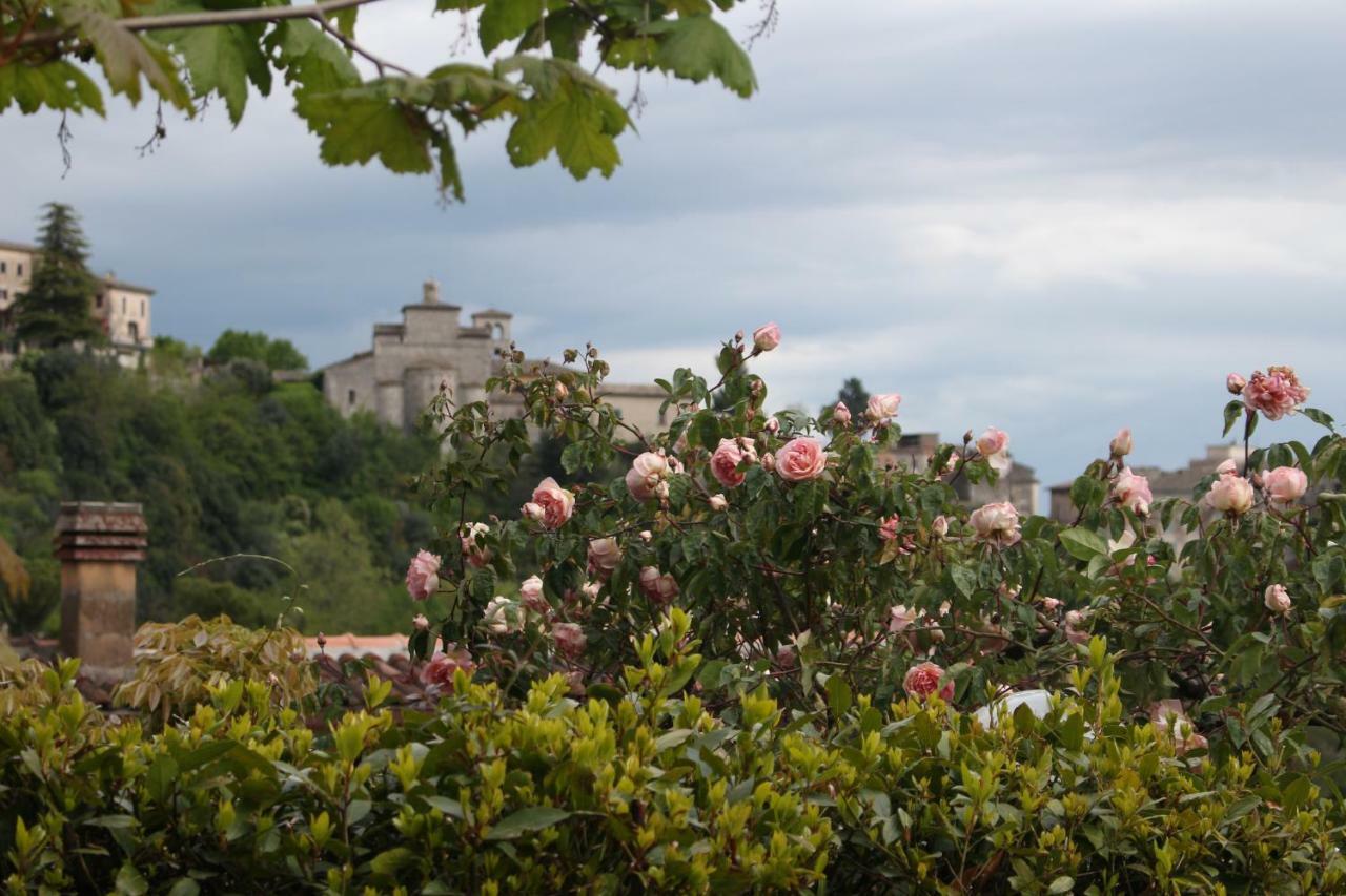 Veroli Le Coste Bed & Breakfast エクステリア 写真